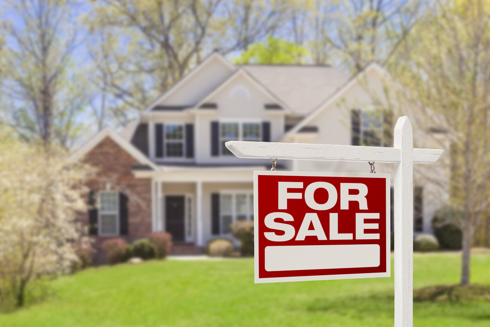  D.C. Metro Area Home Realtor
