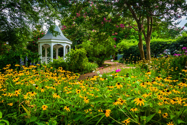 Colorful garden and gazebo in a park in Alexandria, Virginia.-2