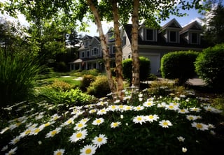 thirsty-turf-irrigation-27062.jpg
