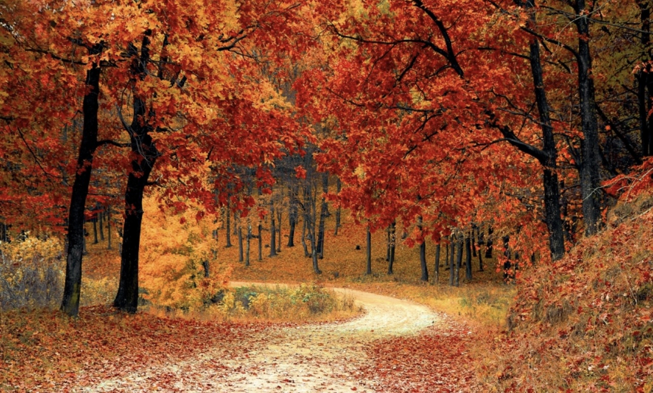 Why Fall is a Great Time to Sell Your House - or Buy One