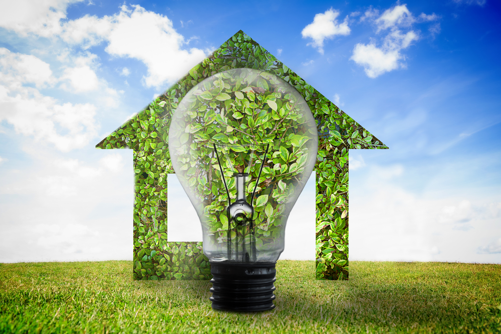 Tips for Greening Your Home and Making a Real Difference