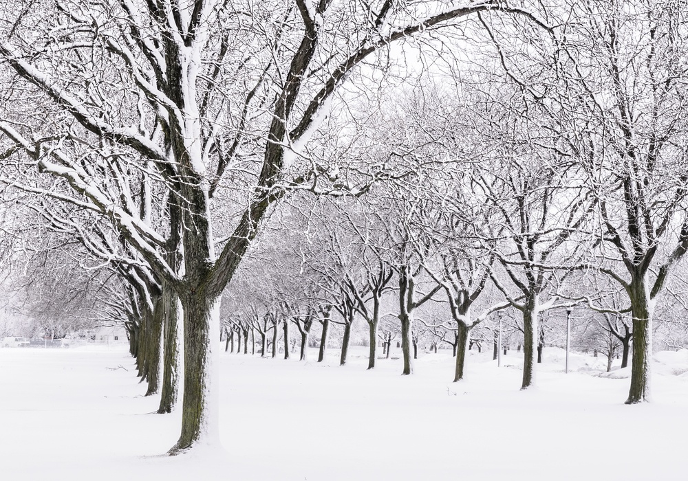 Get Your Home Ready for Winter