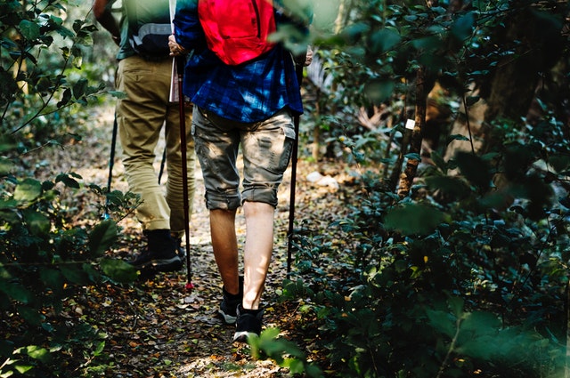 Best Spring Hikes & Walks in Fairfax County, VA