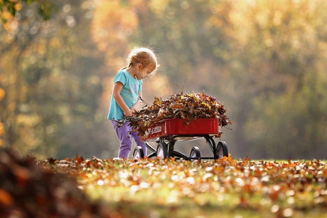 6 Family-Friendly Fall Harvest Activities in Northern Virginia