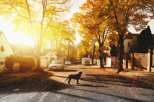Home Search Tips: 6 Red Flags to Watch for When Scoping out a New Neighborhood