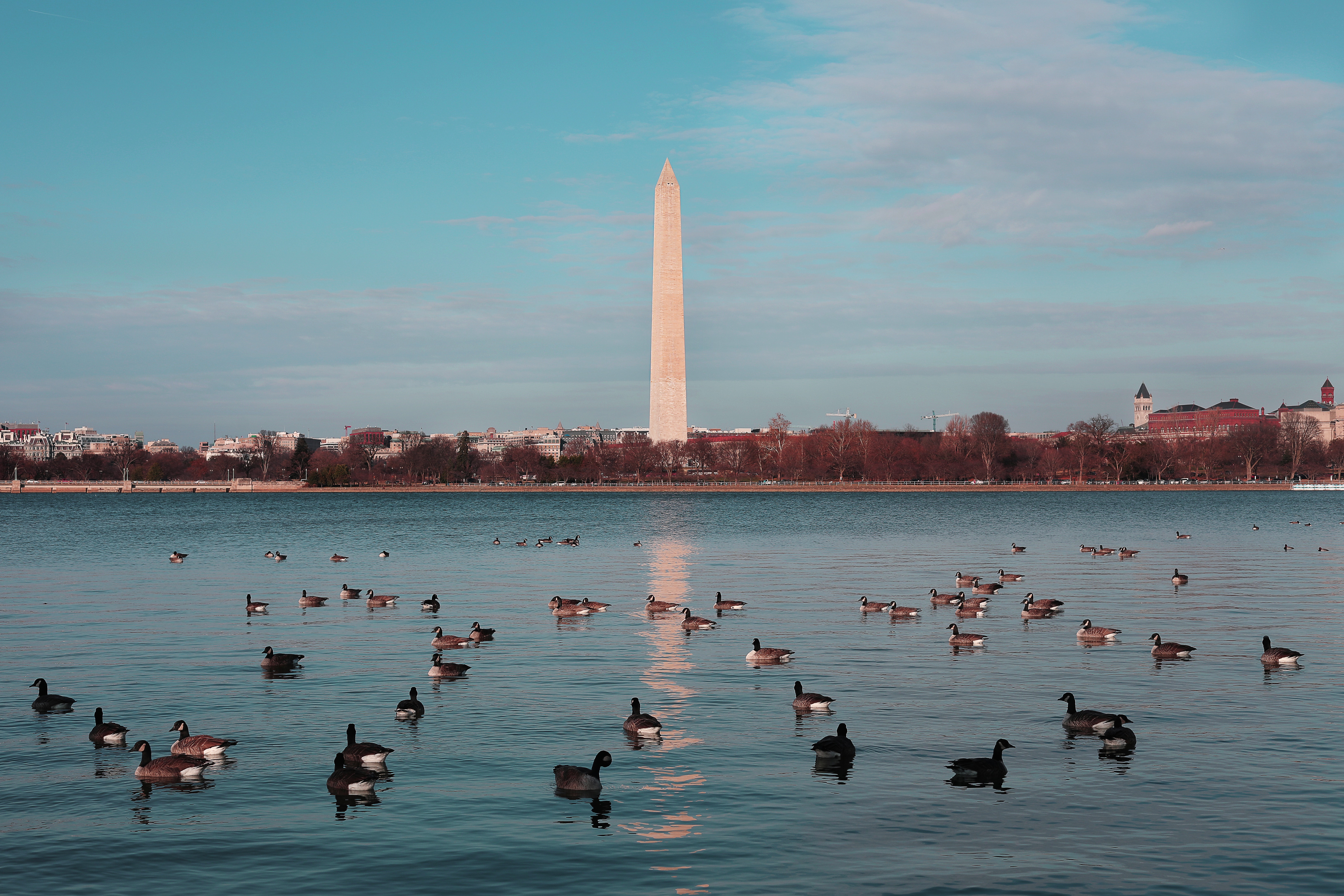 Moving to Washington DC: A Guide for Newcomers